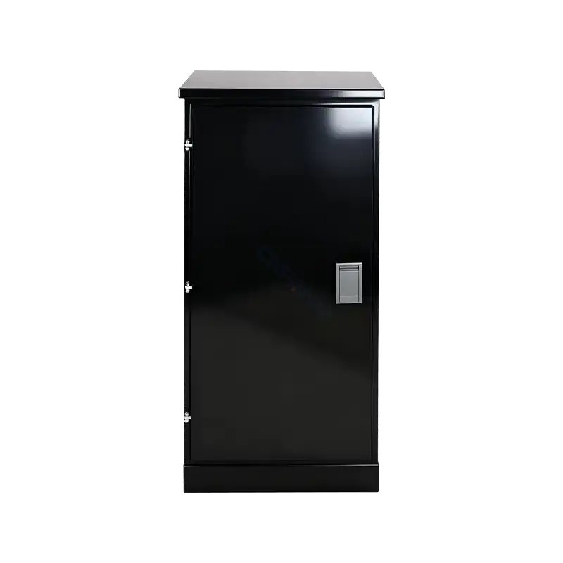 Standard 19-Inch Network Server Cabinet